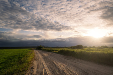 road through the fields at sunset