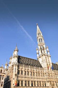 The townhall of Brussels (Belgium)