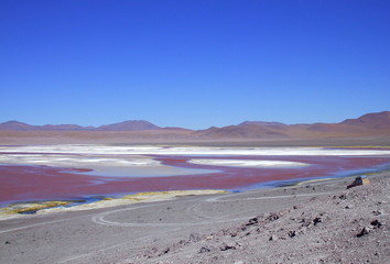 Laguna Colorada