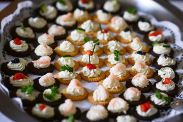 Catering Fingerfood