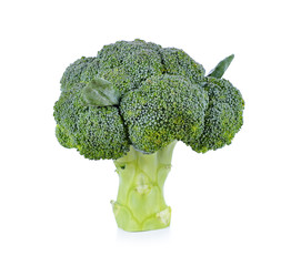 Broccoli isolated on white background