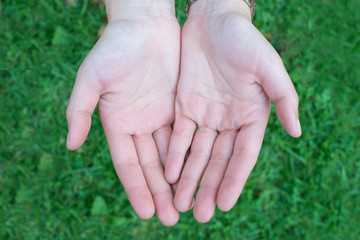 The hands act beg on the green background