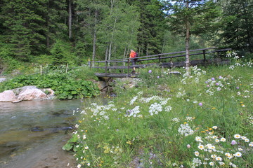 Stausee Filzmoos 2015 5