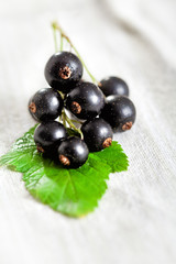 Black currant on green leaf