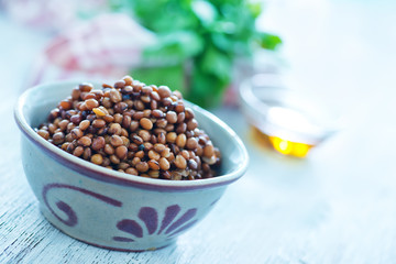 lentil