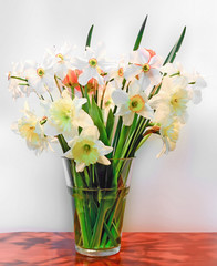 White daffodils, narcissus flowers, close up.