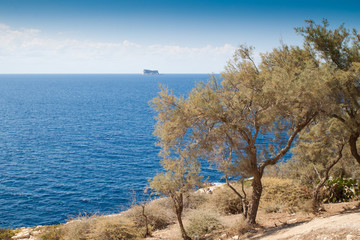 Fototapeta na wymiar Malta-Felsenküste