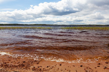 Summer landscape with lake and sky