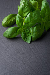 Basil leaves on a black slate