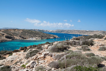 Comino-
 Blaue Lagune
