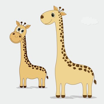 Two cute giraffes