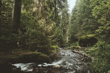 Obraz premium Creek