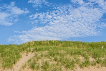 Beach coast with dunes on a sunny day with some beautifull clouds