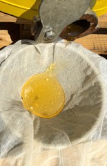 honey extraction