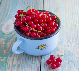 Red currant