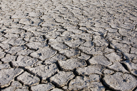desert texture, background parched and cracked earth
