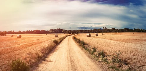 Photo sur Plexiglas Campagne Straw field panorama