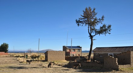 Bolivian village on the shores of lake Titicaca