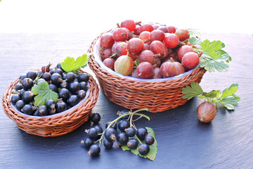  Black currant and  gooseberries in basket bowl