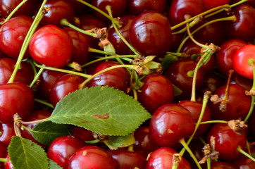 Cherries