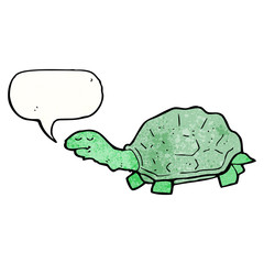cartoon tortoise