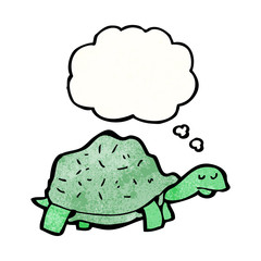 cartoon tortoise