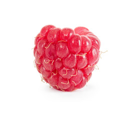 One ripe fresh raspberry