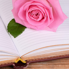 The rose on the book