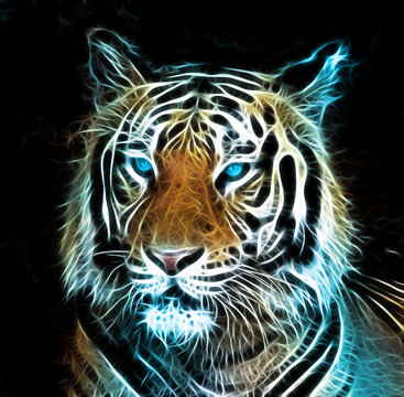 Digital drawing of a tiger