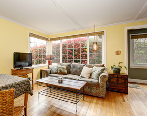 Lovely hardwood living room with colorful sofa, and yellow walls