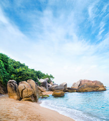 Exotic palm forest, beach, rocks and sea. Samui, Thailand.