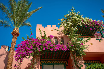 Fototapeta premium beautiful Cottage with flowers