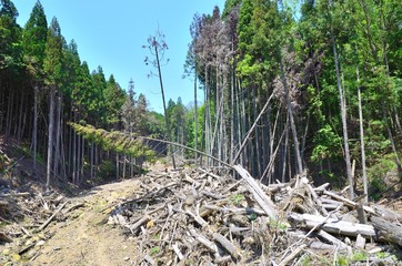 土砂崩れ