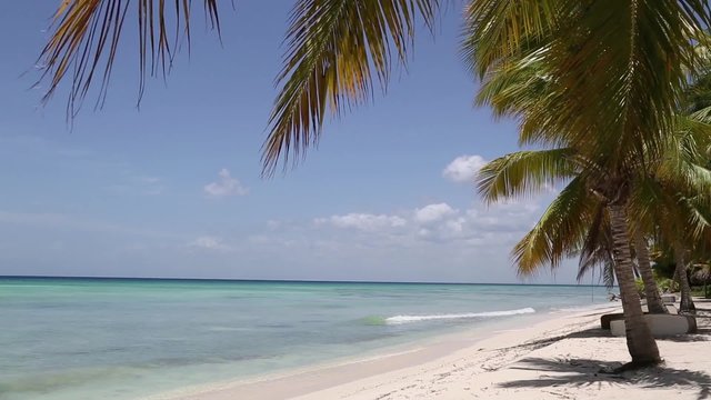 nat&uuml;rlicher Strand mit Palmen in der dominikanischen Republik