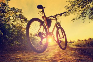 Fototapeta premium Mountain bike on the countruside road on sunset, vintage color t