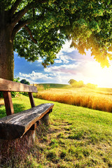 Beautiful summer landscape with wooden bench - 86953378