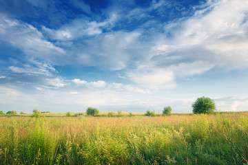 Landscape of countryside with green grass and clouds