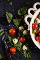 Diet salad, fresh tomato and mozzarella in rustic bowl
