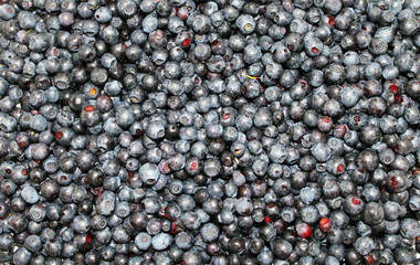 Blueberries