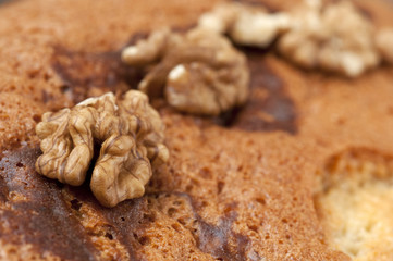 Walnut 
