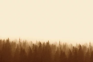 Poster Landscape in sepia - pine forest in mountains with fog © Sensay
