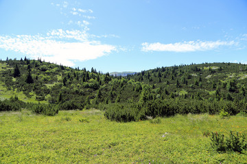Meadow with distant forest on the Rax in the Austrian Alps