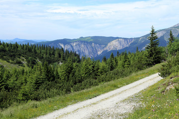 Hiking path on the Rax in the Austrian Alps