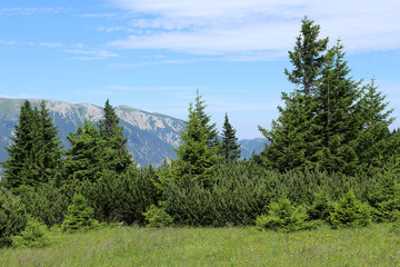 Hiking path on the Rax in the Austrian Alps