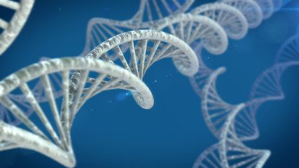 DNA molecules