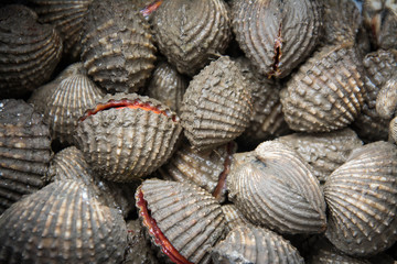 fresh cockles for sale at a market