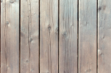 Fototapeta premium gray wall wood texture