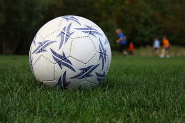 Fototapeta na wymiar Fußball auf dem Rasen