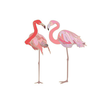 Pair of flamingos
