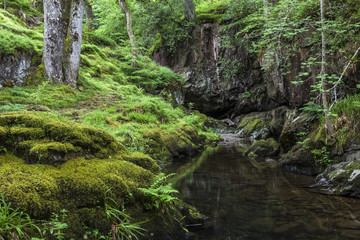 Aira Beck, river, near Ullswater in English Lake District.